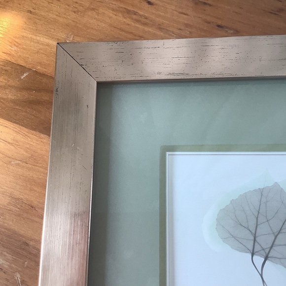 Albert Koetsier Signed Art Print Aspen Leaves Brushed Nickel Frame - Picture 7 of 12